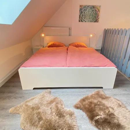 Ruhige, Neue Dachwohnung An Altstadt, Naehe Messe Apartamento