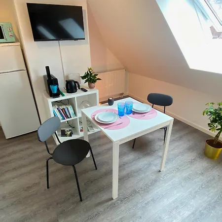 Ruhige, Neue Dachwohnung An Altstadt, Naehe Messe St. Gallen