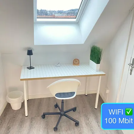 Apartamento Ruhige, Neue Dachwohnung An Altstadt, Naehe Messe *