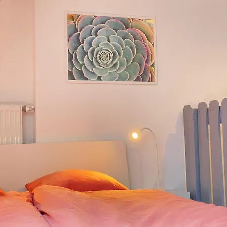 Ruhige, Neue Dachwohnung An Altstadt, Naehe Messe 아파트 *