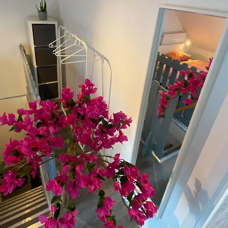 Ruhige, Neue Dachwohnung An Altstadt, Naehe Messe 아파트