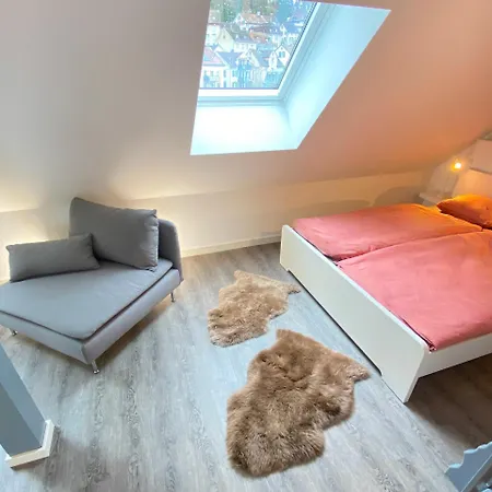 Ruhige, Neue Dachwohnung An Altstadt, Naehe Messe * St. Gallen