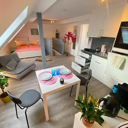 아파트 Ruhige, Neue Dachwohnung An Altstadt, Naehe Messe 세인트갈렌