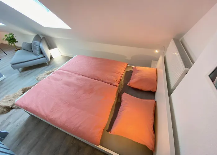 Ruhige, Neue Dachwohnung An Altstadt, Naehe Messe * St. Gallen