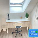 Apartament Ruhige, Neue Dachwohnung An Altstadt, Naehe Messe *