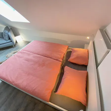 Ruhige, Neue Dachwohnung An Altstadt, Naehe Messe * سانت غالن