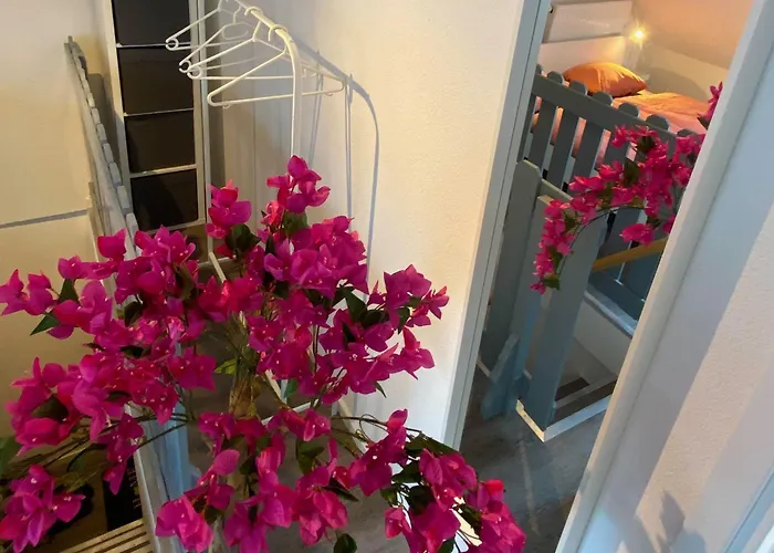 Ruhige, Neue Dachwohnung An Altstadt, Naehe Messe شقة